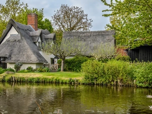 River, Houses, Bush, ducks