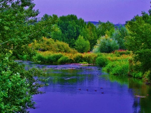 River, forest, Mountains, ducks