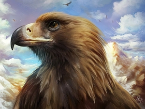 eagle, Sky