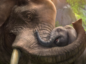 trumpet, Elephant, baby elephant