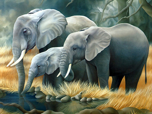 Elephants, watering place