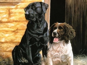 English Cocker Spaniel, Labrador Retriever, puppies, cote, Two cars