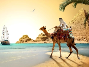 sea, Pyramids, Arab, fantasy, Camel, sailing vessel