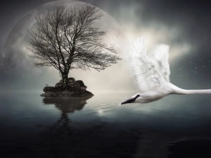 Island, Swans, water, fantasy, trees, gulls