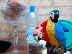 figures, Two, Parrots