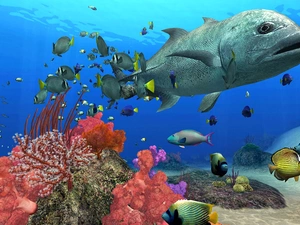 coral, fish, sea, reef, depths