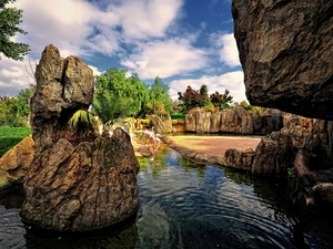 viewes, Flamingos, rocks, trees, River