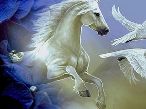 Eagles, Flowers, birds, White, Horse