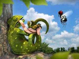 fly, embarrassed, Cameleon