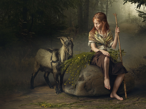 forest, girl, Flowers, Fog, Stone, goat