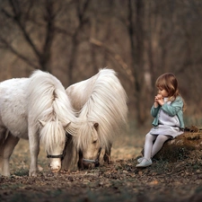 trunk, forest, girl, ponies, Kid