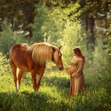 viewes, forest, Horse, trees, Women