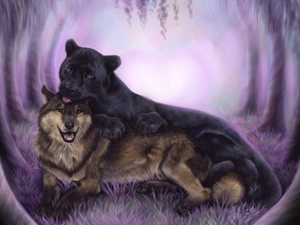 forest, Wolf, Panther