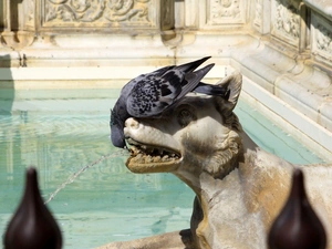 pigeon, sculpture, Wolf, fountain
