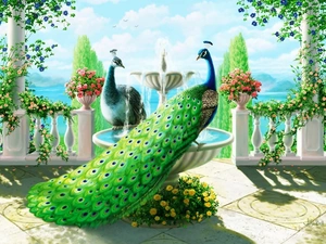 terrace, peacock, roses, fountain, Beauty, Climbing, sea