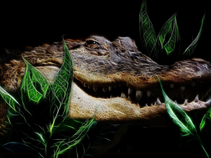Leaf, Crocodile, background, Fractalius, Black, mouth