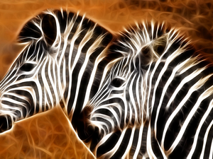 Fractalius, Two, zebra