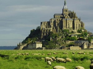 Mount Saint Michel, France, Meadow, Sheep, cloister
