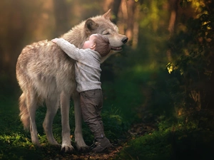 friends, boy, Wolf
