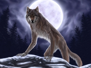fullness, werewolf, moon