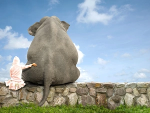 girl, Elephant, ledge