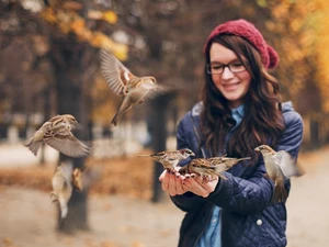 girl, birds, sparrow