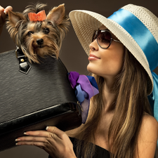 Glasses, Yorkshire Terrier, Hat, Purse, Women