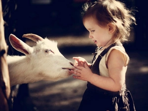 Goat, small, girl