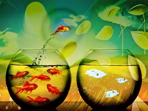 fishes, graphics, Aquariums, Golden, Spherical