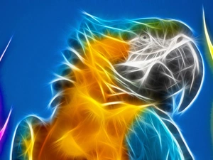 graphics, parrot, ara