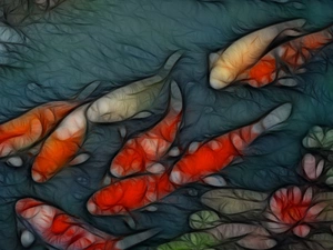 graphics, fish, lilies