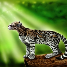 ocelot, light, graphics, rays