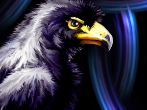 graphics, eagle, purple
