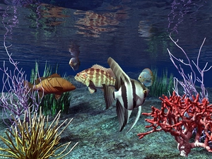 graphics, fish, water