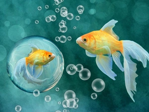 2D Graphics, Welonki, interesting eyes