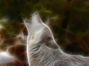 graphics, howling, Wolf