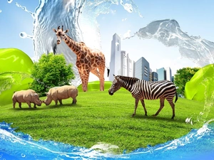 Rhinos, Zebra, clouds, grass, skyscrapers, giraffe