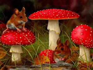 Leaf, grass, mouse, toadstools, Two