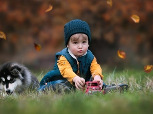 Puppy, boy, toy car, Leaf, dog, Kid, toy, autumn, grass, Alaskan Malamute
