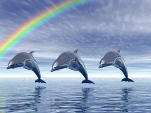 water, 3D, dolphins, Great Rainbows, Three