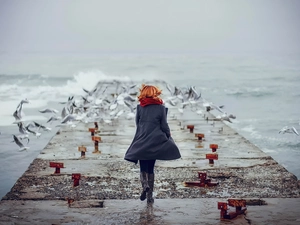 Wind, gulls, sea, Platform, redhead