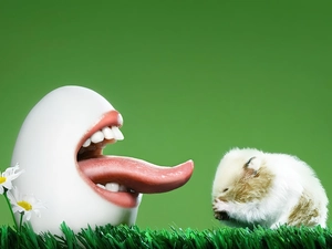 hamster, egg, Tounge