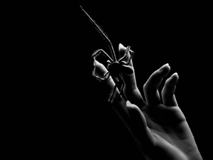 hand, Spider, woman