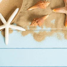 Sand, Shells, starfish, Hat
