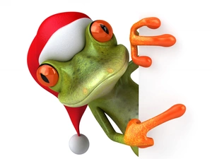 Santa, strange frog, Hat