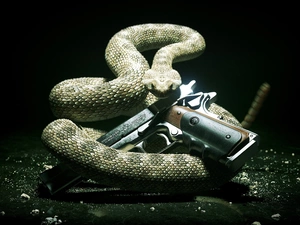 Hitman Absolution, Snake