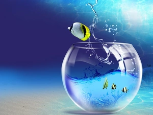 jump, fish, aquarium