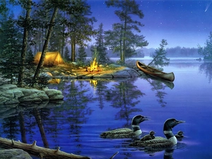bivouac, Kanu, lake, ducks, Night