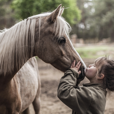 Horse, girl, kiss, Kid