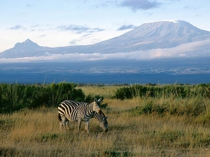Kilimanjaro, Zebra, mountains